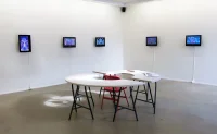 Jacky Winter Gallery