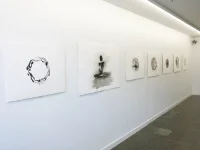 Jacky Winter Gallery