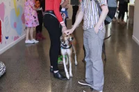 Jacky Winter Gallery