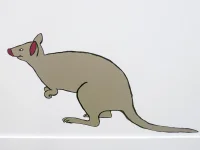 Jacky Winter Gallery