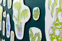 Jacky Winter Gallery