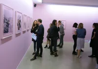 Jacky Winter Gallery