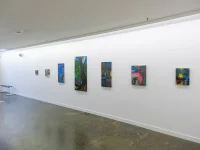 Jacky Winter Gallery