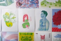 Jacky Winter Gallery