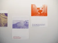 Jacky Winter Gallery