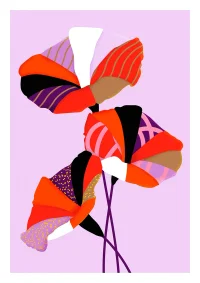 Jacky Winter Gallery