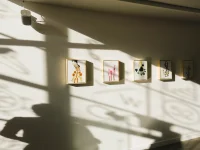 Jacky Winter Gallery