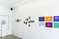 Jacky Winter Gallery