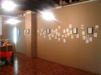 Jacky Winter Gallery