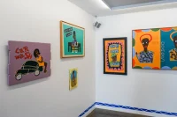 Jacky Winter Gallery