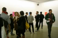 Jacky Winter Gallery