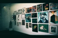 Jacky Winter Gallery