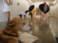 Jacky Winter Gallery