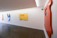 Jacky Winter Gallery