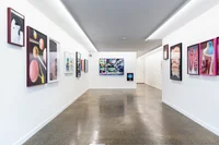 Jacky Winter Gallery