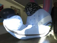 Jacky Winter Gallery