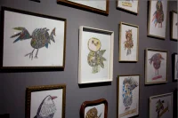 Jacky Winter Gallery