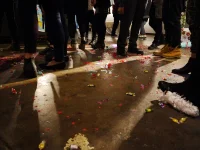 Jacky Winter Gallery