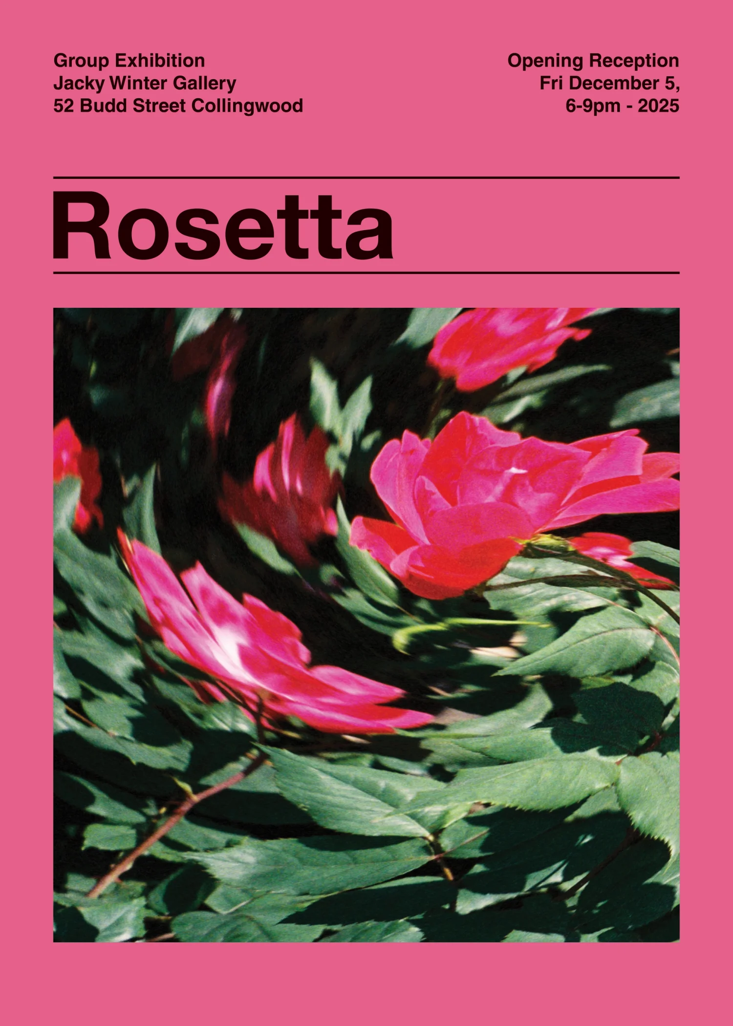 Jacky Winter Gallery