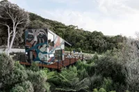 Jacky Winter Gallery