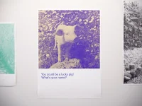 Jacky Winter Gallery