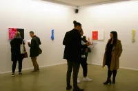 Jacky Winter Gallery