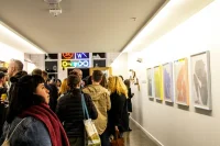 Jacky Winter Gallery