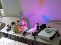 Jacky Winter Gallery