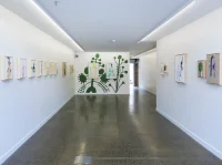 Jacky Winter Gallery