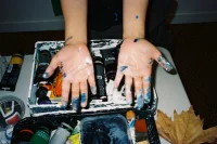 Jacky Winter Gallery