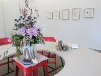 Jacky Winter Gallery