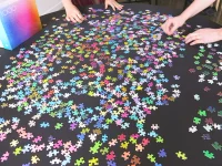 Jacky Winter Gallery