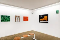 Jacky Winter Gallery