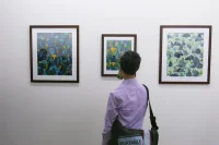 Jacky Winter Gallery