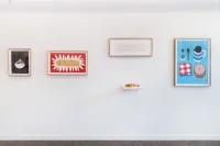 Jacky Winter Gallery