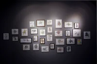 Jacky Winter Gallery