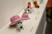 Jacky Winter Gallery