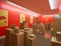 Jacky Winter Gallery