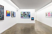 Jacky Winter Gallery