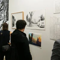 Jacky Winter Gallery