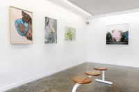 Jacky Winter Gallery