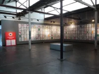 Jacky Winter Gallery