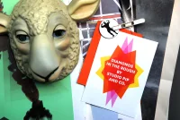 Jacky Winter Gallery