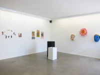 Jacky Winter Gallery