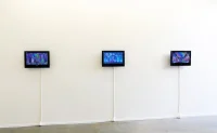 Jacky Winter Gallery