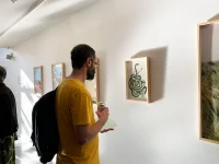 Jacky Winter Gallery