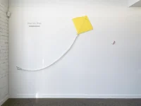 Jacky Winter Gallery