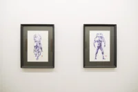 Jacky Winter Gallery