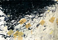 Jacky Winter Gallery