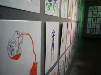 Jacky Winter Gallery